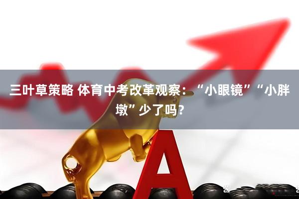 三叶草策略 体育中考改革观察：“小眼镜”“小胖墩”少了吗？
