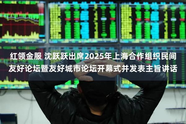 红领金服 沈跃跃出席2025年上海合作组织民间友好论坛暨友好城市论坛开幕式并发表主旨讲话