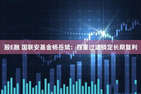 股E融 国联安基金杨岳斌：四重过滤锁定长期复利
