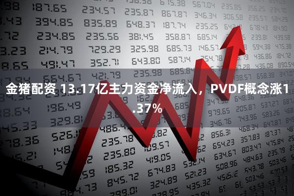 金猪配资 13.17亿主力资金净流入，PVDF概念涨1.37%