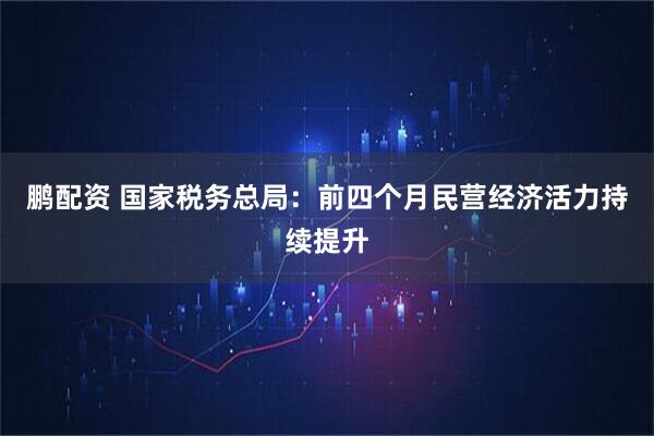 鹏配资 国家税务总局：前四个月民营经济活力持续提升